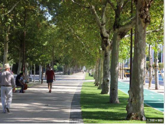 Alleanza, Aires De Guadalquivir Seville Exterior photo
